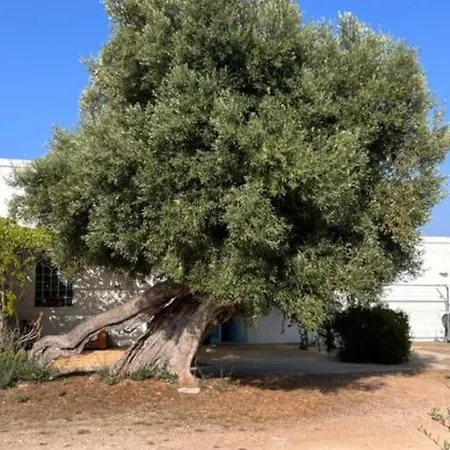La Di Felisiano Holiday home Monopoli